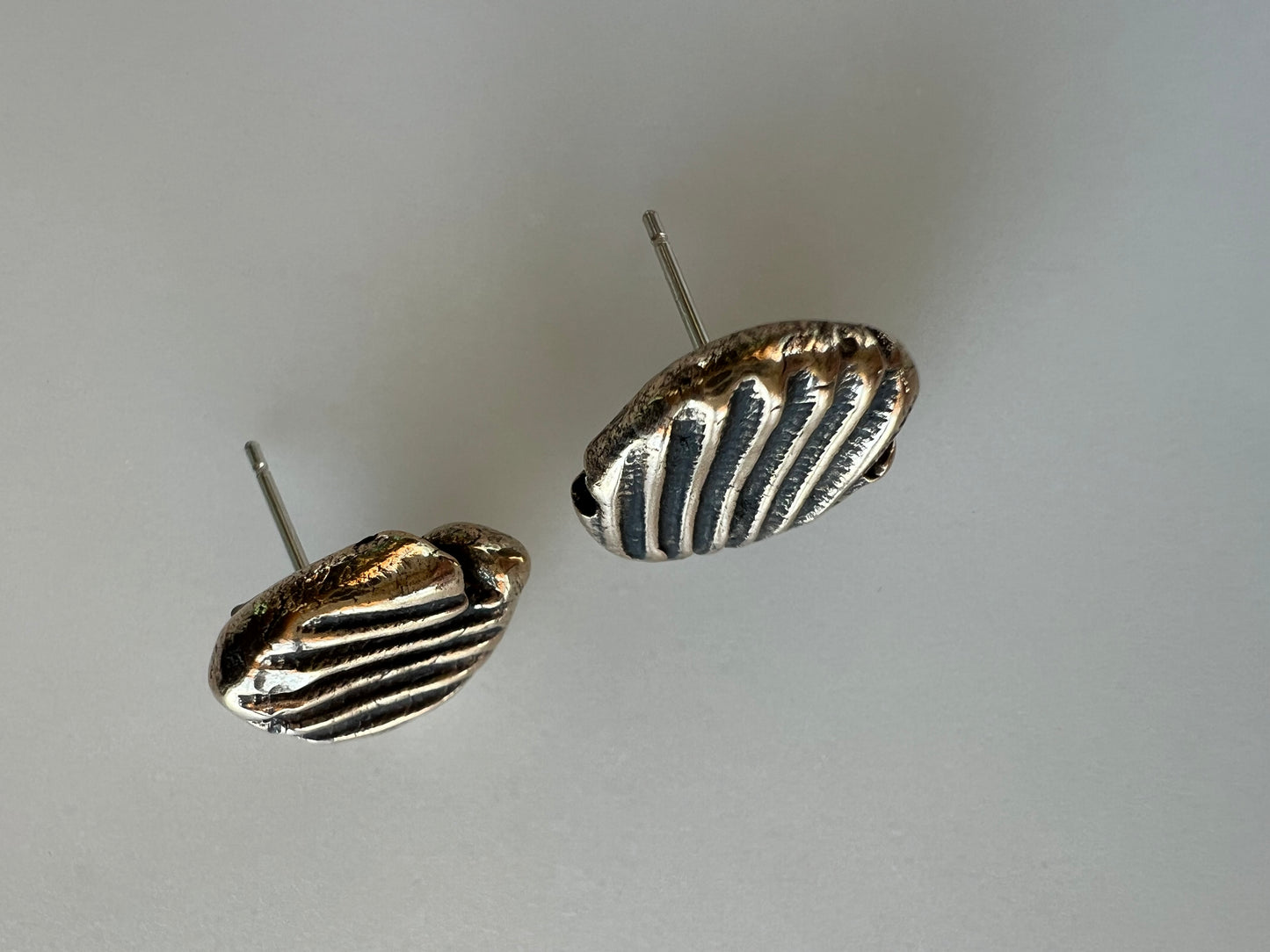 Bronze Shell Studs