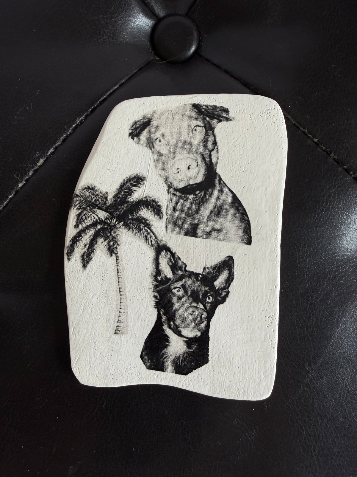 Custom Ceramic Memory Magnet