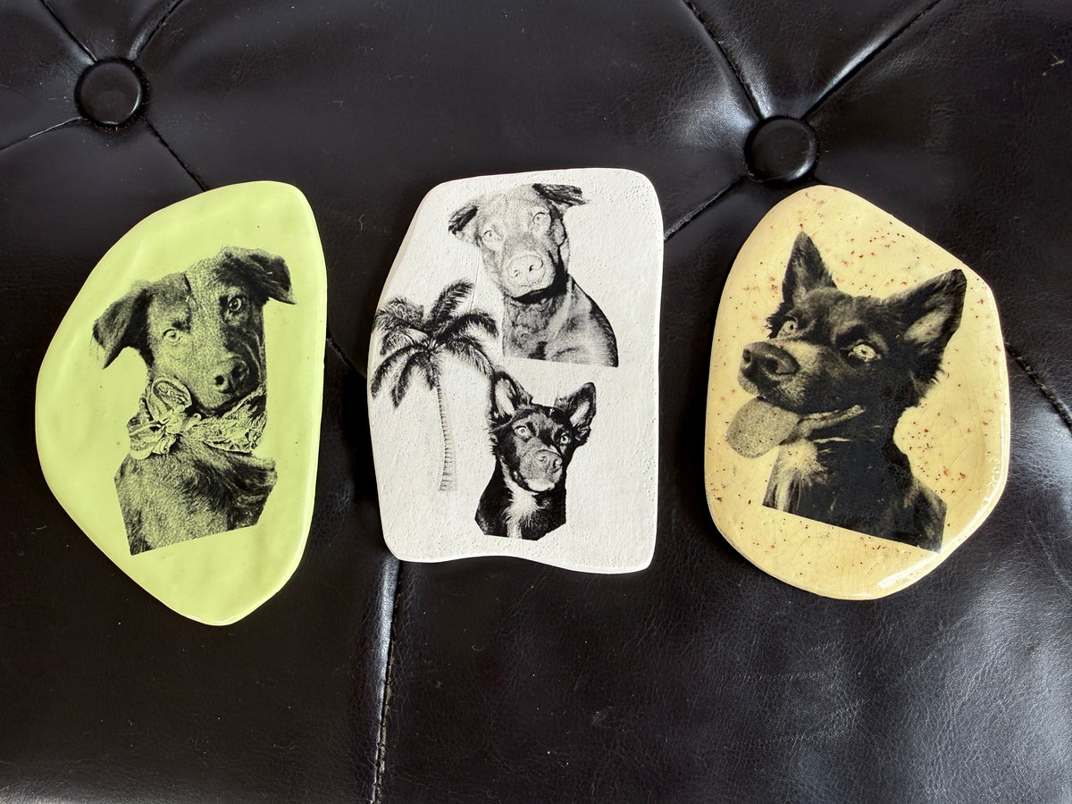 Custom Ceramic Memory Magnet