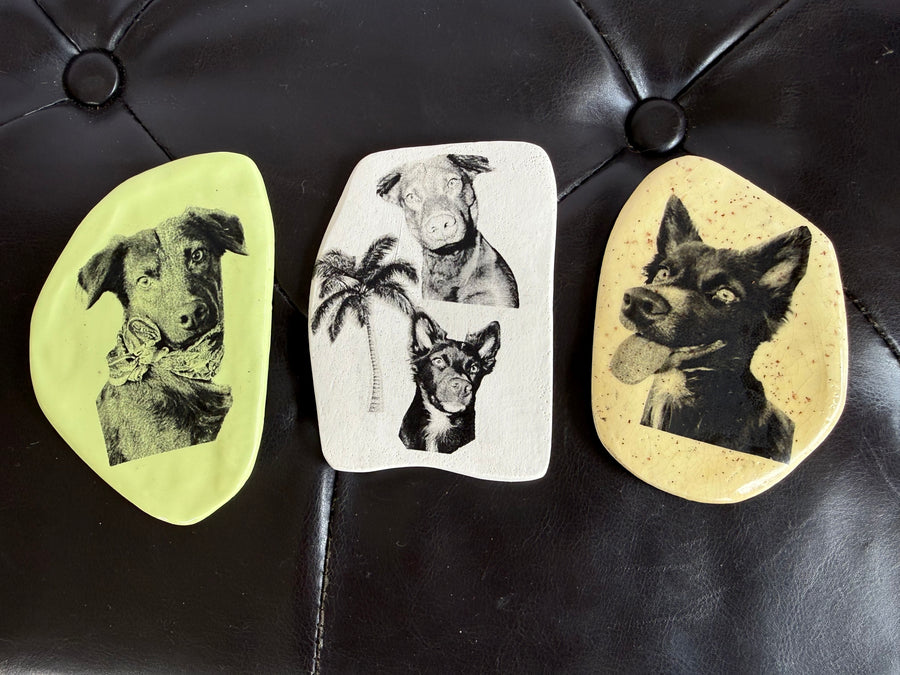 Custom Ceramic Memory Magnet