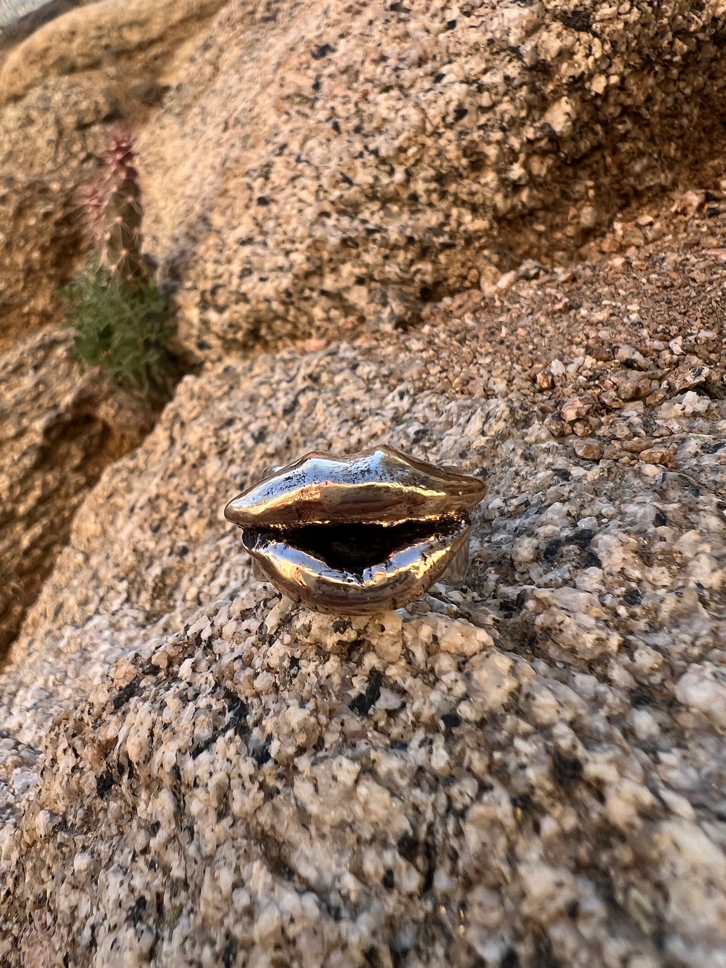 Kiss Rings