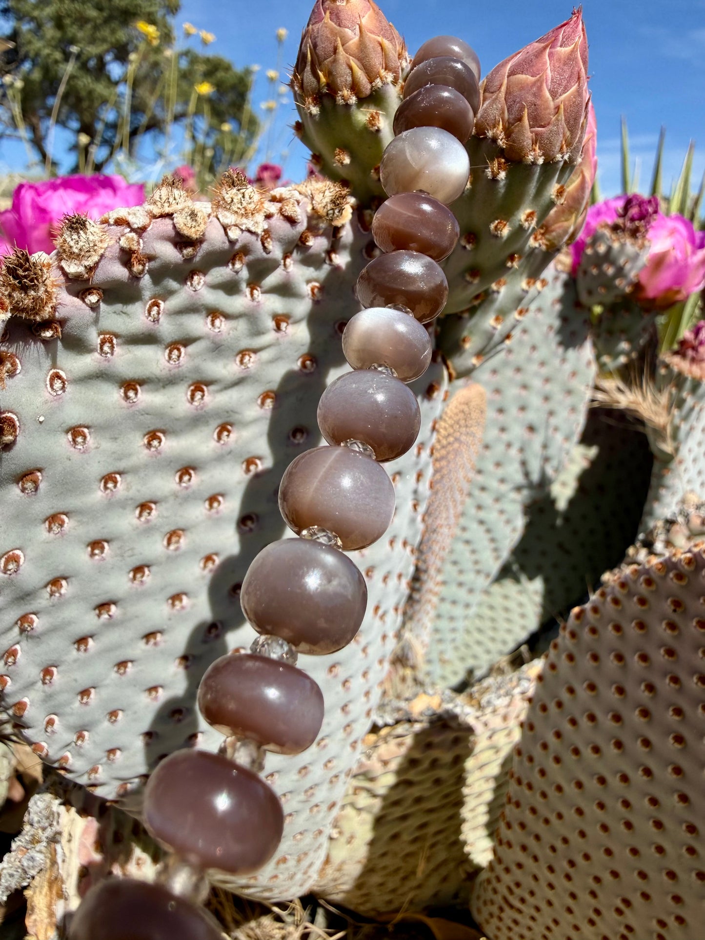 Chocolate Moonstone with Ice Obsidian Collar