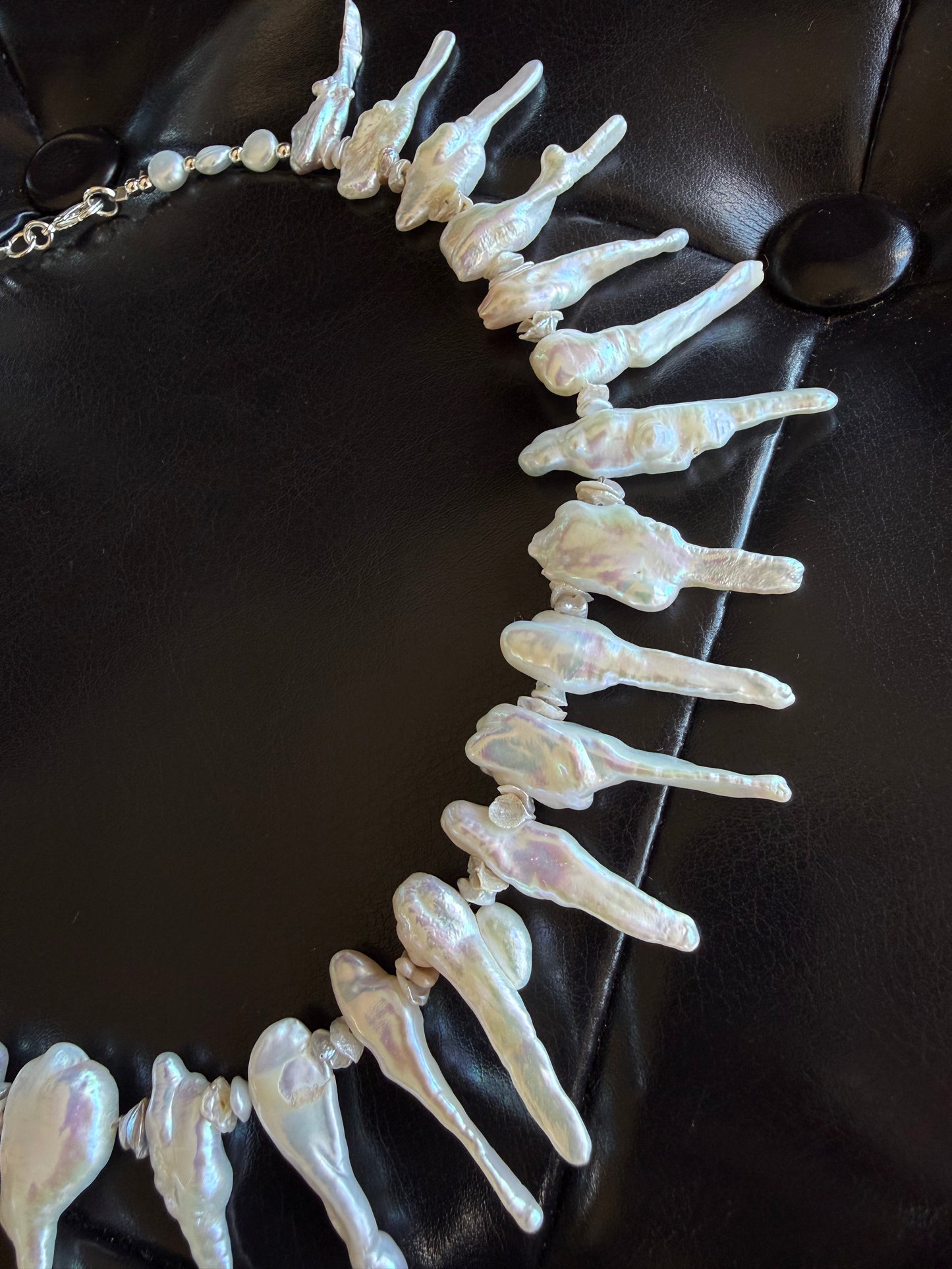 New! Fancy Collars - inspired by Dahsha & Salami Mami {CLICK to view all photos}