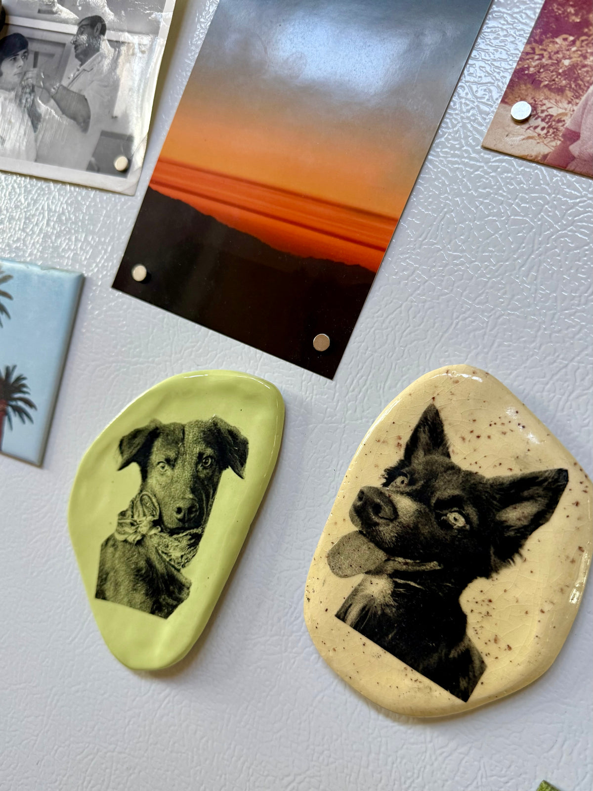 Custom Ceramic Memory Magnet