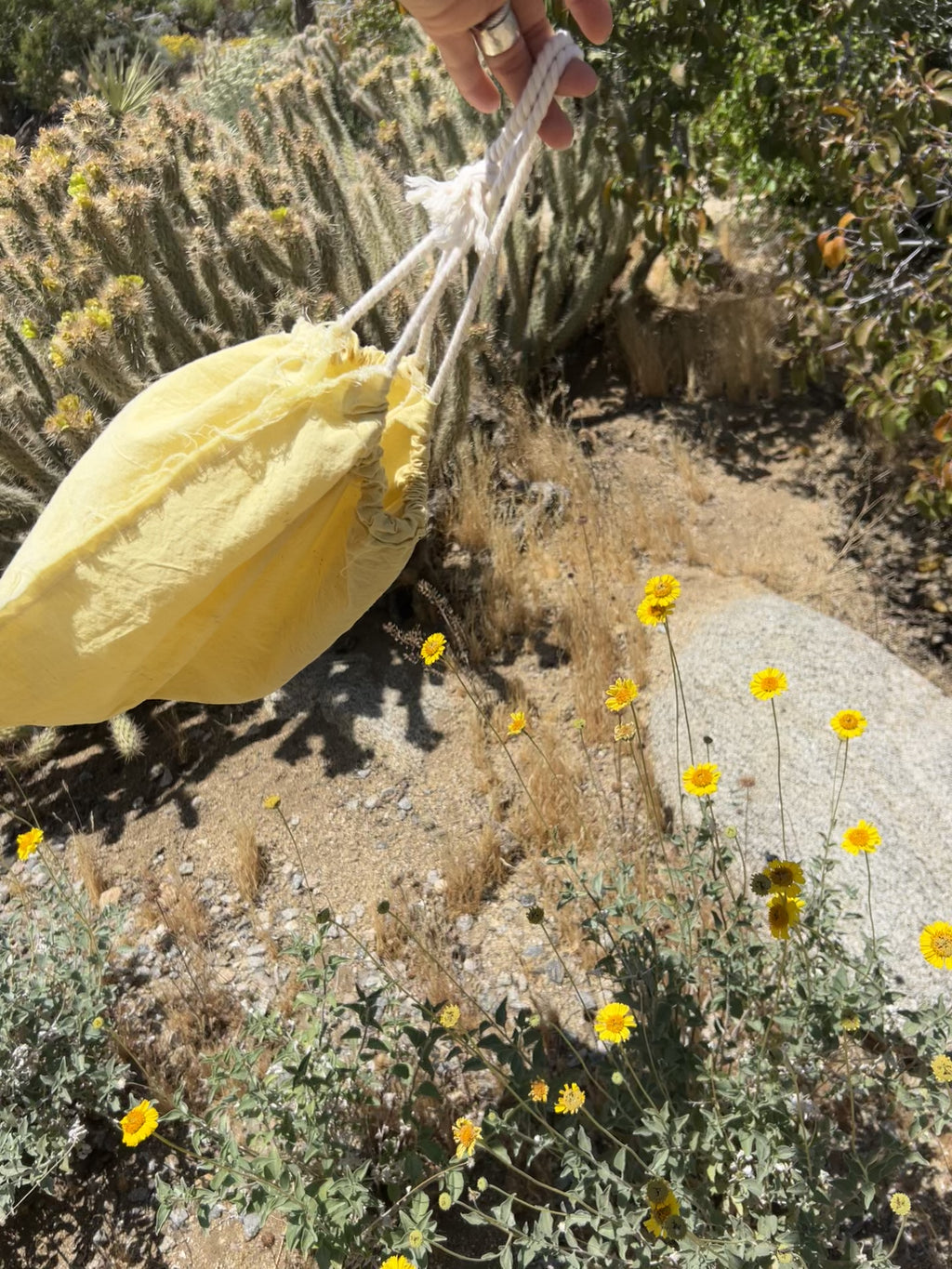 California Wildflower Bag