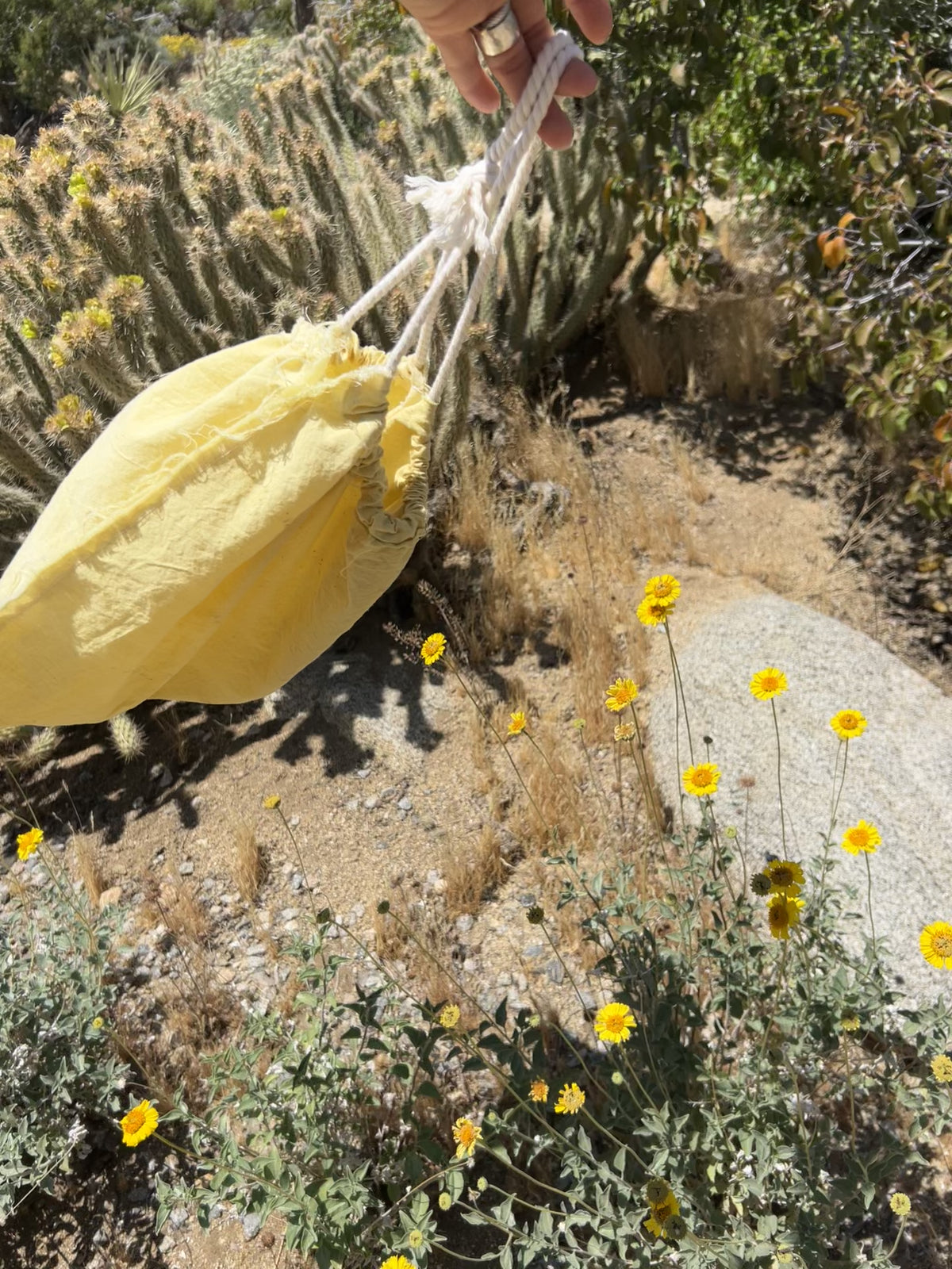 California Wildflower Bag