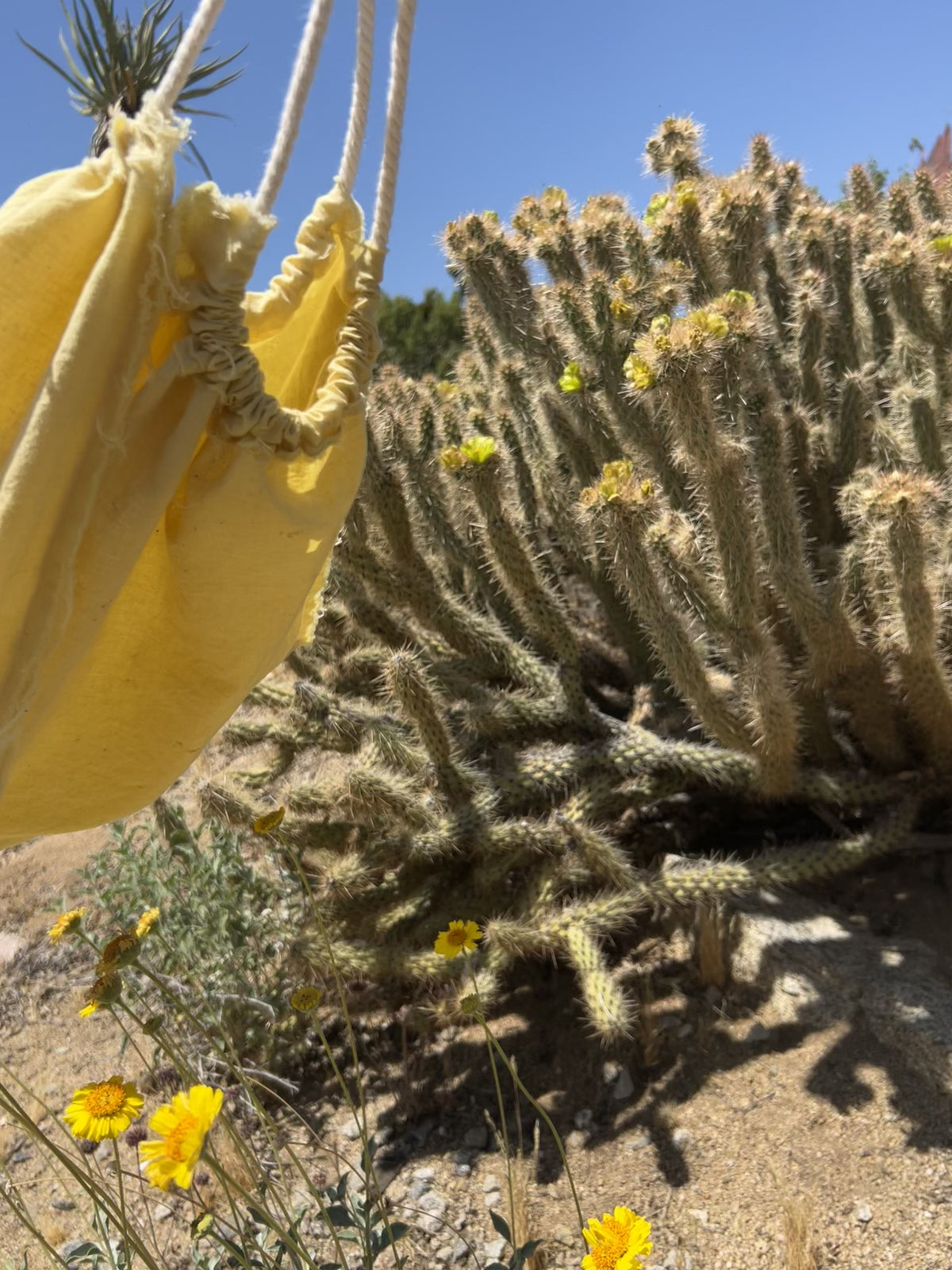 California Wildflower Bag