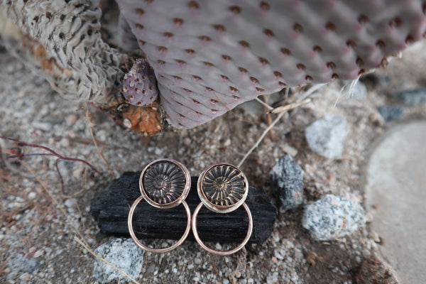 Pyritized Ammonite Hoops