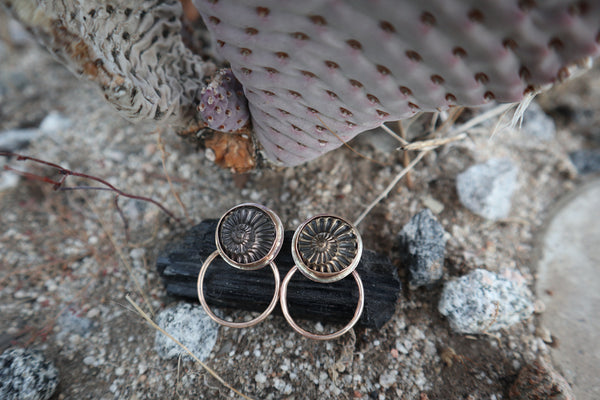 Pyritized Ammonite Hoops