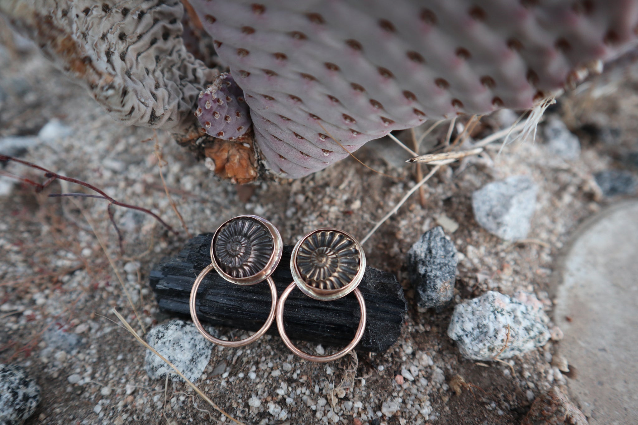 Pyritized Ammonite Hoops